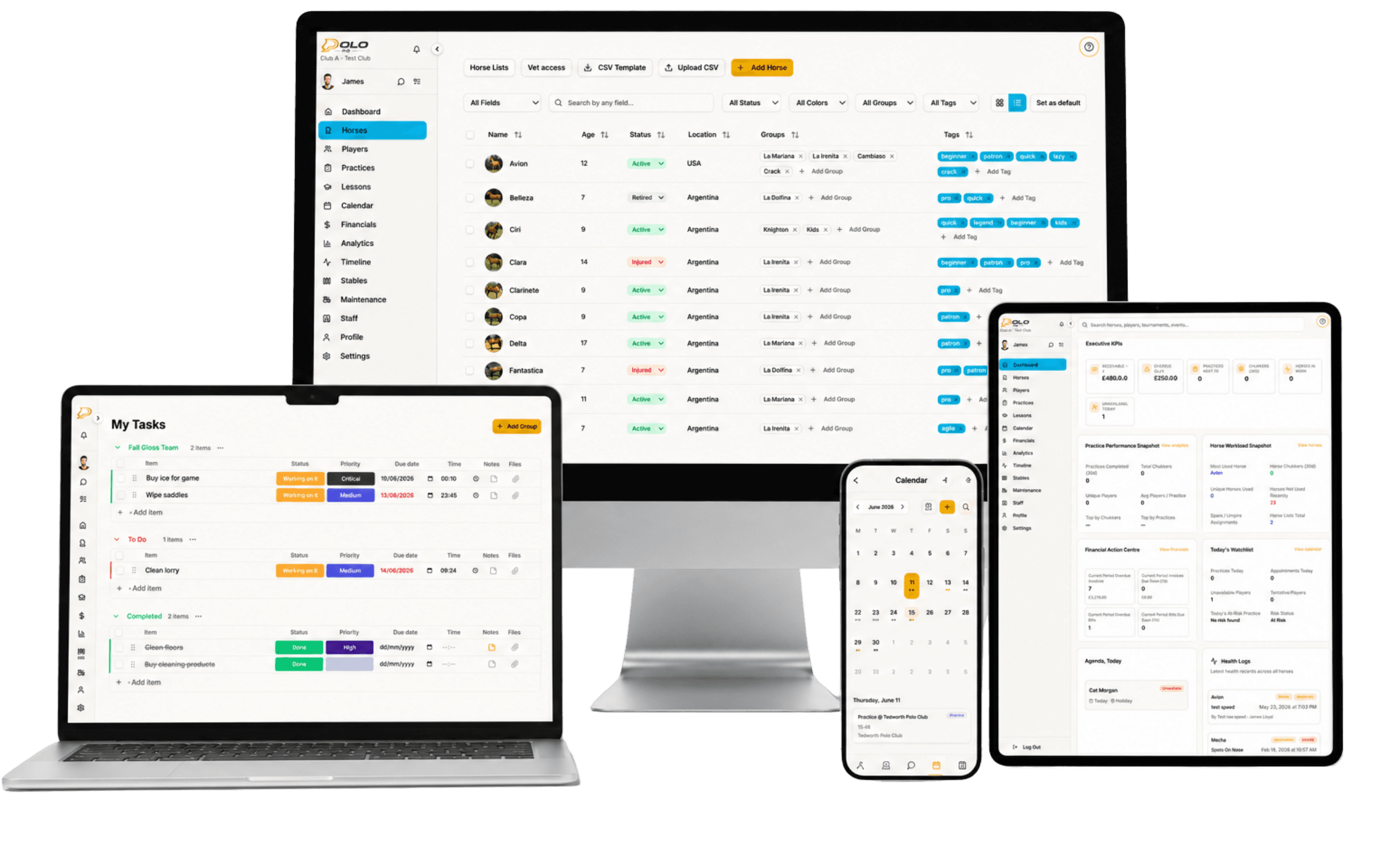 Organization dashboard